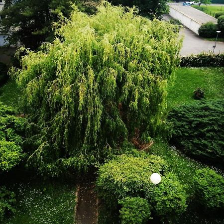P' Ti Ecrin De Verdure Illzach Esterno foto