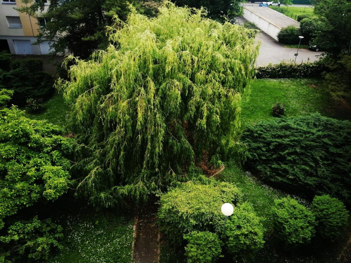 P' Ti Ecrin De Verdure Illzach Esterno foto
